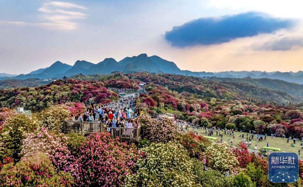 詩(shī)意中國(guó)丨春日上春山 一場(chǎng)與時(shí)光的溫柔邂逅