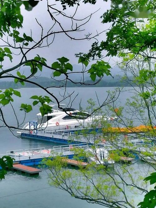 五一出游注意 安徽4A級(jí)及以上景區(qū)全部預(yù)約，旅行社服務(wù)網(wǎng)點(diǎn)規(guī)范招徠